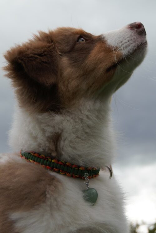 AVENTURINE VERTE