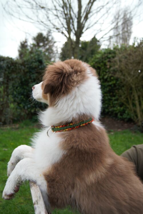 Telma green aventurine 3